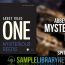 Review: Abbey Road One Selections Mysterious Reeds by Spitfire Audio