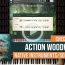Checking Out: Action Woodwinds by Native Instrument/Sonuscore