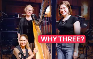 BBO Harps by Vienna Symphonic Library